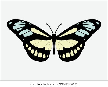 Monarch butterfly isolated on white background. Vector illustration.