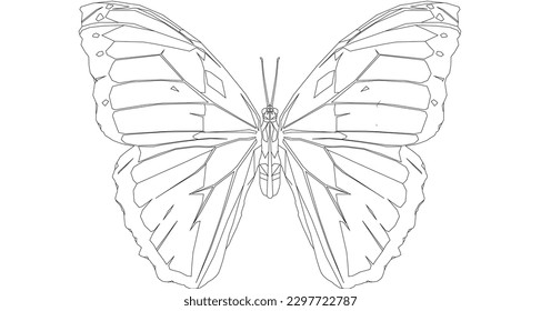 monarch butterfly line art black and white crispy