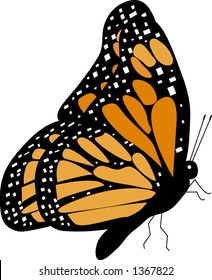 Side View Butterfly Drawing Simple - Drawing Ideas