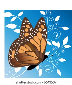 monarch butterfly on foliage use together or separately