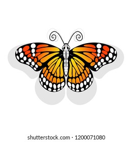 monarch butterfly on white background flat design