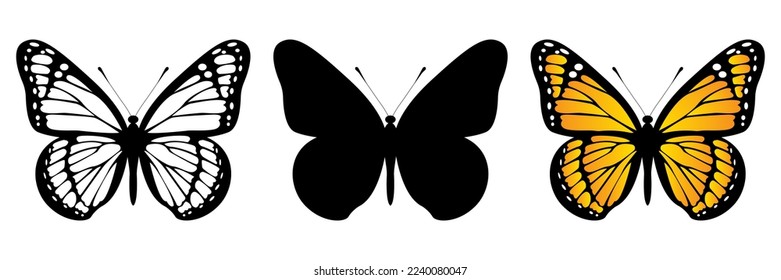 Monarch butterfly on white background. Set of color, black and white illustration and butterfly silhouette. Vector illustration