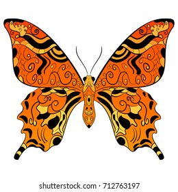 Monarch butterfly orange yellow and black color. Vector illustration Isolated white background