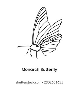 Monarch butterfly outline icon. Dangerous insect with deadly venom. Vector illustration in trendy style. Editable graphic resources for many purposes.