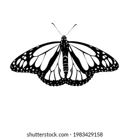 Monarch butterfly silhouette, great design for any purposes. Symbol, logo illustration. Elegant decoration. Realistic vector illustration. Summer background. Vector pattern.