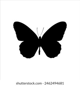 Monarch butterfly silhouette isolated on white background. Butterfly icon vector illustration design.