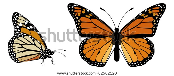 Monarch Butterfly Top Side View Stock Vector (Royalty Free) 82582120 ...