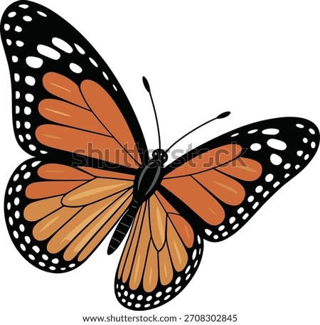 Monarch Butterfly Vector – Colorful Orange Winged Insect Illustration on White Background