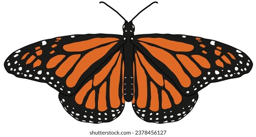 
Mariposa monarca - dibujo vectorial con alas ornamentadas vibrantes, que recuerda la gracia y belleza de esta mariposa. El dibujo está completamente desmontado para una simple animación.