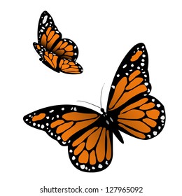 Monarch Butterfly. Vector Illustration