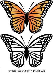 Monarch Butterfly Vector Illustration