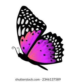 Ilustración del vector de mariposa monarca aislado en fondo blanco