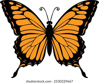 Monarch Butterfly Vector Illustration - Perfect for educational, design, and nature projects