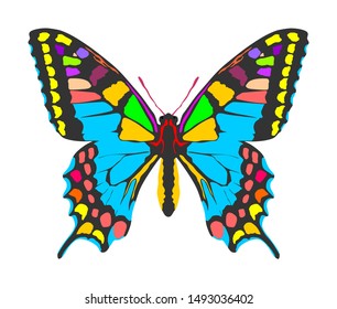 Monarch Butterfly vector with open wings in a top view. Flying migratory insect. Butterflies represents symbol of summer and nature beauty. Colorful butterfly art symbol illustration and tattoo sign.
