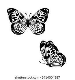 Vector de mariposa monarca, contorno decorativo de silueta Elemento mariposa ornamental Diseño aislado en blanco