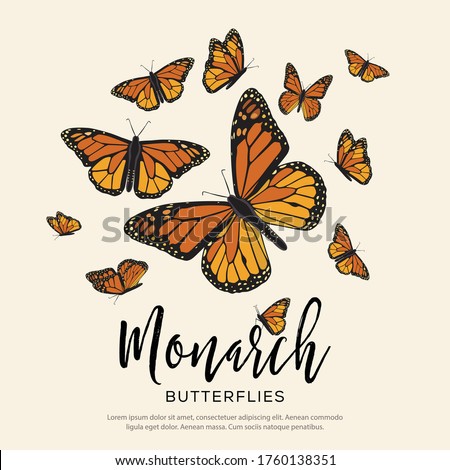 Monarch Flying Butterflies Composition – Copy Space