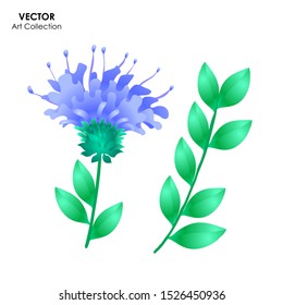 Monarda flower Isolate, Vector illustration design element