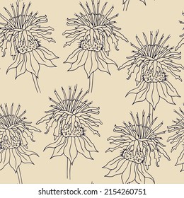 Monarda flower pattern on cream background