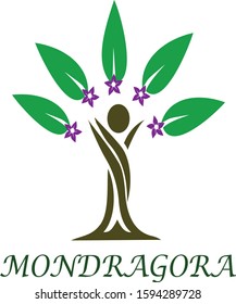 Mondragora plant vector,Hurry Potter magic herp,logo,mondragora tree