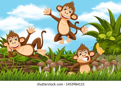 Monekys in jungle background illustration