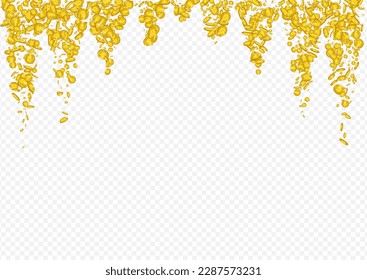 Monetary Gold Finance Vector Transparent Background. Golden Cash Rich Template. Shiny Money Poster. Flow Confetti Certificate.