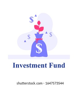 Money bag capital growth, earn more money, investment strategy, revenue growth, income increase, high interest, fast loan, wealth management, invest fund, pension savings, vector flat illustration