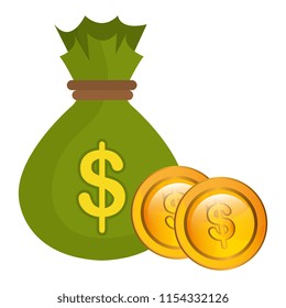 money bag with coins