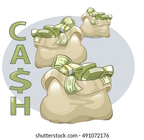 Money in the bag dollars, euros, bag full of money