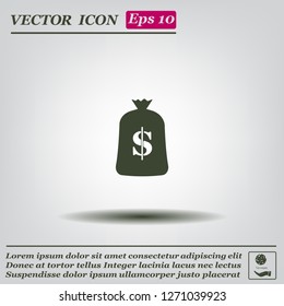 Money bag icon