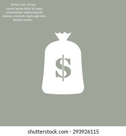 Money bag icon