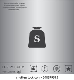 Money bag icon