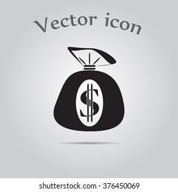 Money bag icon