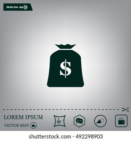 Money bag icon