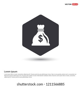 Money Bag icon Hexa White Background icon template 