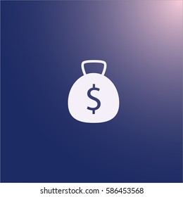 Money bag icon vector
