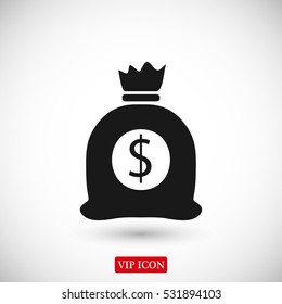 money bag icon, vector best flat icon, EPS