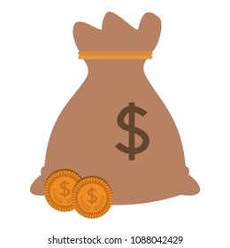 Money bag isolated