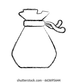 Money bag isolated