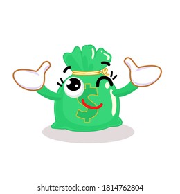 Money Bag on White Background