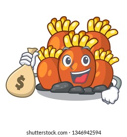With money bag orange coral reef toys shape cartoon