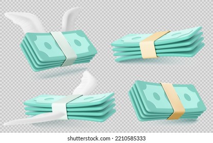 Money banknotes bundles and wings isolated transparent background  Finance icons payment  inflation  shopping  savings loss and flying paper cash  3d vector illustration