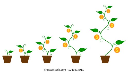 Money coin plant in flower pot growing process from seed to big sprout plant with coins. Business management growth concept.