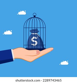 Money control. Detention or confinement of bags of money in a birdcage. concept of finance and investment