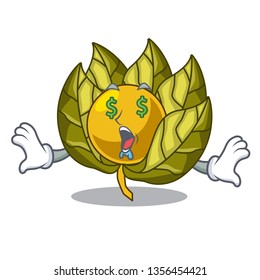 Money eye physalis fruit in the cartoon shape