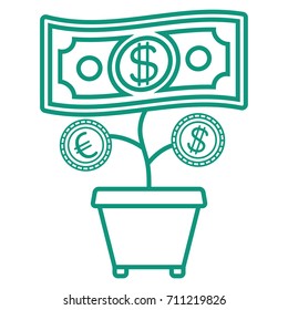 Money in flower