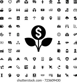 Money flower icon. set of filled business icons. can be used for web and mobile.