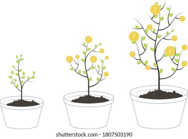 Money growing in tree investment in agriculture vector illustration