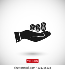 money in hand icon, vector best flat icon, EPS