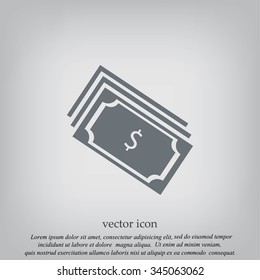 money icon