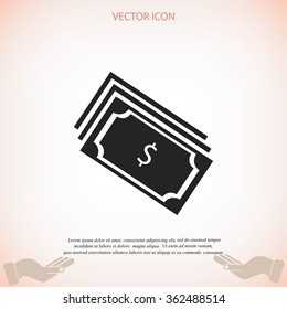 money icon